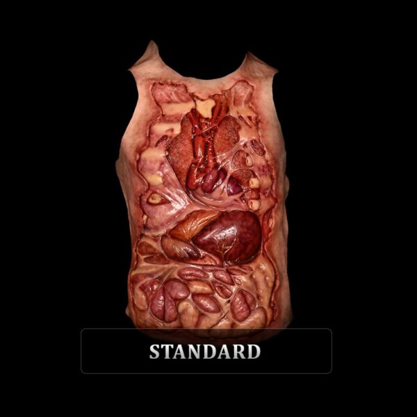 EXPOSED BODY SUIT - Image 2